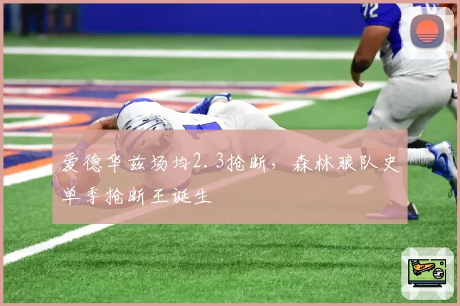 爱德华兹场均2.3抢断，森林狼队史单季抢断王诞生
