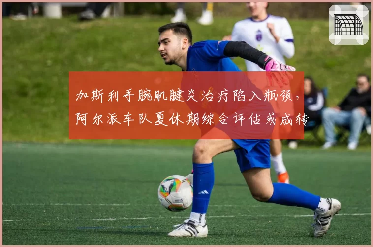 加斯利手腕肌腱炎治疗陷入瓶颈，阿尔派车队夏休期综合评估或成转折点？